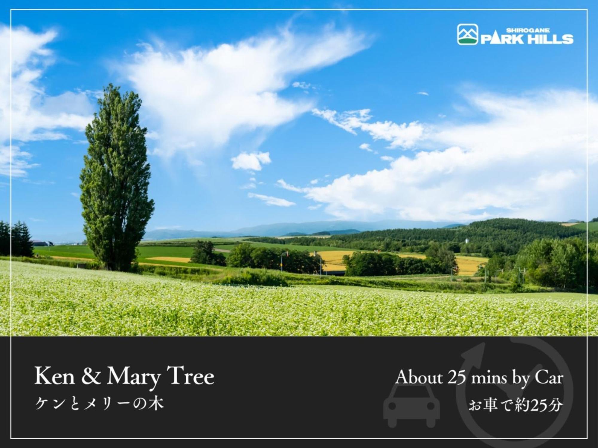 Biei Shirogane Onsen Hotel Park Hills Esterno foto
